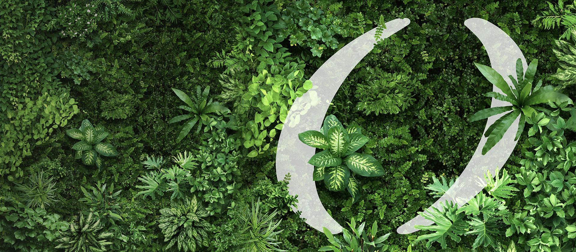 Coesia_Sustainablity_Banner